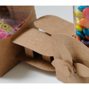 Aviao By Debora Vieira5 300x300 -