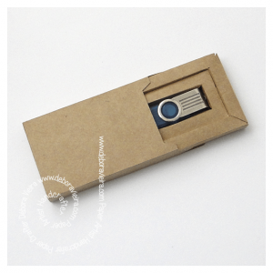 DV Caixa Pen Drive Mod 2 by Debora Vieira c 300x300 -