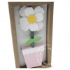 Caixa Vaso para Lápis - Image 2