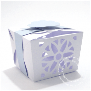 DV Caixa Sushi 1 by Debora Vieira 1 300x300 -