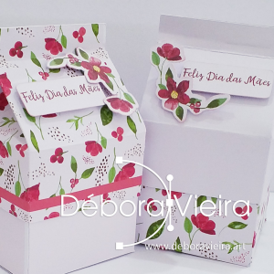 DV Caixa Milk 1 Debora Vieira Foto 3 300x300 -