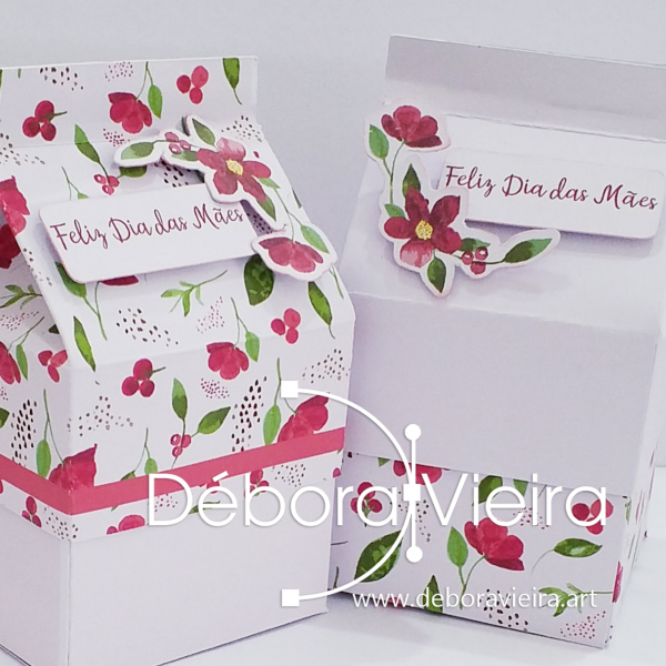 DV Caixa Milk 1 Debora Vieira Foto 3 600x600 -